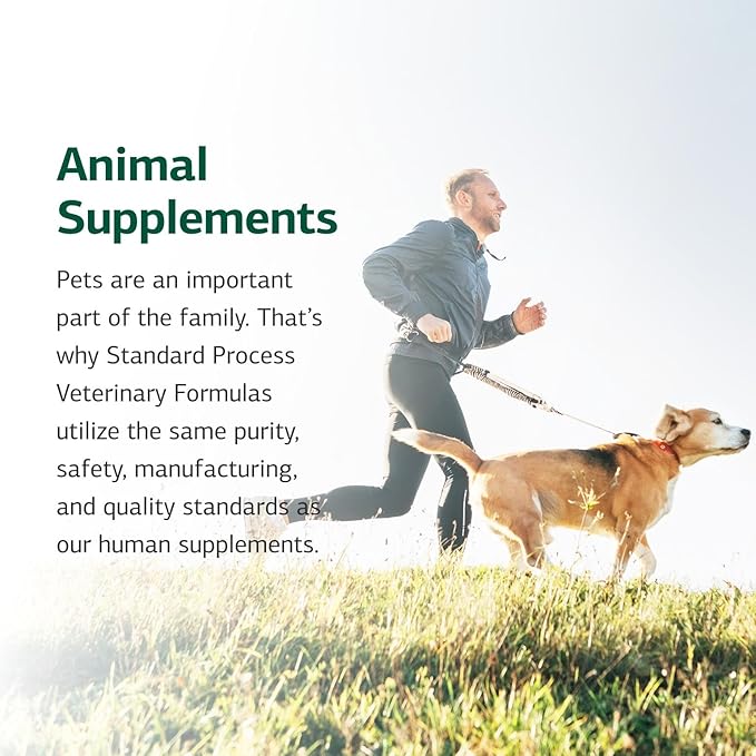 Standard Process Inc. Canine Enteric Support - Digestive System Support for Dogs - Nutritional Dog Supplement for Gut Health - Canine Supplement Formula to Aid Healthy Digestion - 30 g