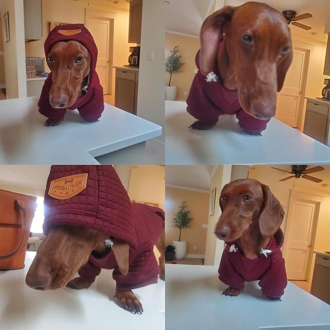 BEAUTYZOO Dog Sweaters for Large Dogs Girls Boys, Warm Winter Dog Hoodie Sweatshirt with Pocket & Leash Hole,Soft Waffle-Like Laminated Cotton Pet Clothes for Big Breeds Indoor Outdoor Cold Weather