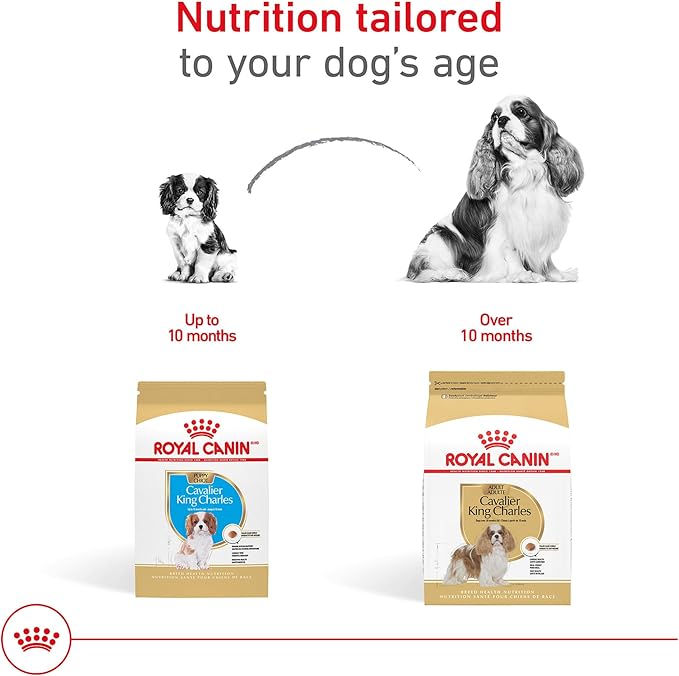 Royal Canin Breed Health Nutrition Cavalier King Charles Spaniel Puppy Dry Dog Food, 3 lb Bag