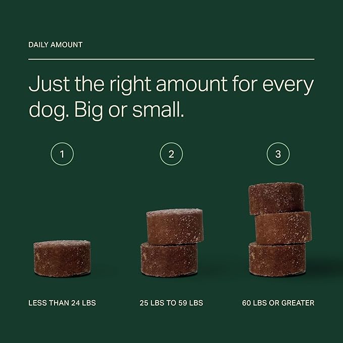 Longevity+ Dog Health Supplement, Cognitive Support, Joint Support, Immune Support
