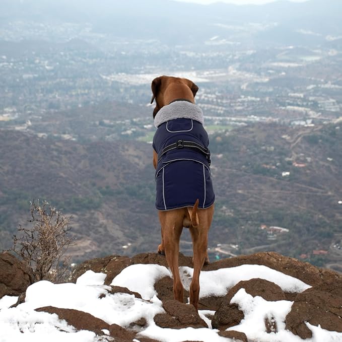 Lelepet Warm Dog Coat Reflective Fleece Vest Waterproof Dog Jacket with Adjustable Buckle Hook & Loop Windproof Cold Weather Coats for Small Medium Large Dogs, Navy Blue, S