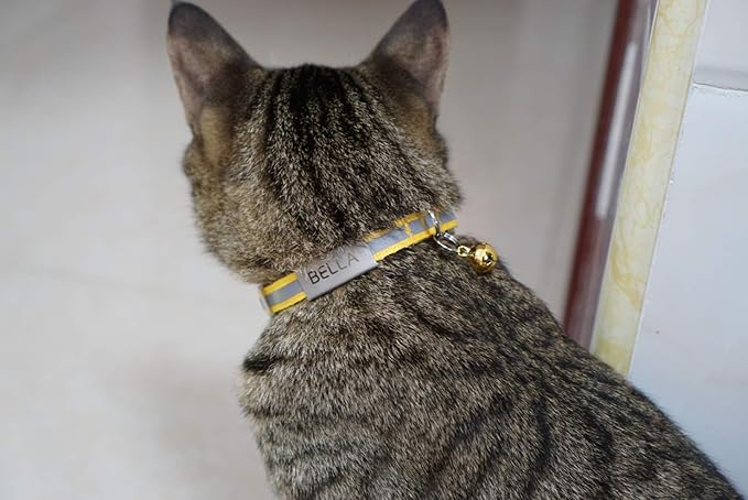 Custom Breakaway Cat Collars with Bell - Engraved Stainless Steel No Noise Slide-On Identification Tags On Collar - Up to 3 Lines of Personalized Text (Reflection)