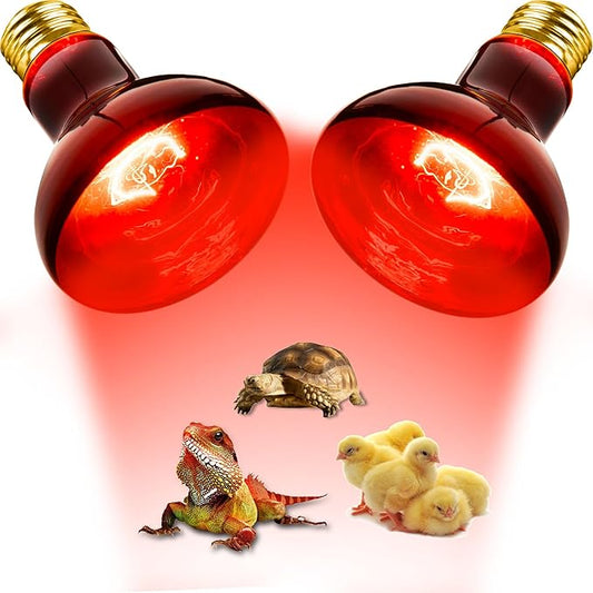 Flaspar 100W Reptile RED Heat Lamp Bulbs, Reptile & Amphibian Basking Spot Light Bulbs for Chickens Coop Pets Brooder Bearded Dragon Lizard Tortoise Use, Pack of 2