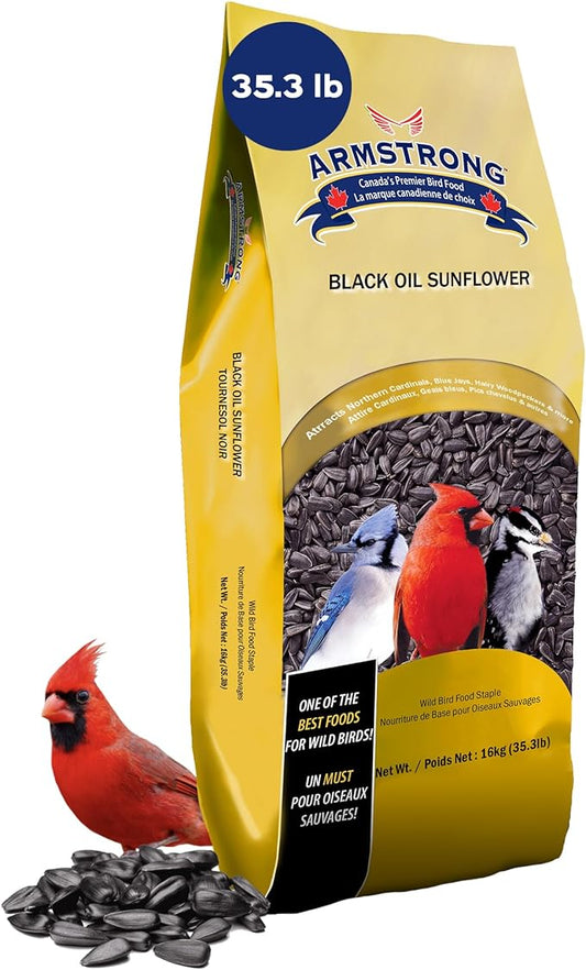 Armstrong Wild Bird Food Black Oil Sunflower Bird Seed, 35.3 Pounds - for Northern Cardinals, Blue Jays and Hairy Woodpeckers - Ideal for Outside Feeders