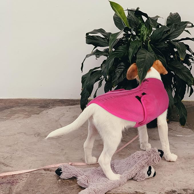 Queenmore Medium Dog Sweater, Soft Fleece Vest Pullover Dog Jacket with Leash Hole, Warm Winter Dog Clothes Cold Weather Doggy Dachshund Sweaters for Medium Dogs Cats Boy or Girl (Pink,M)