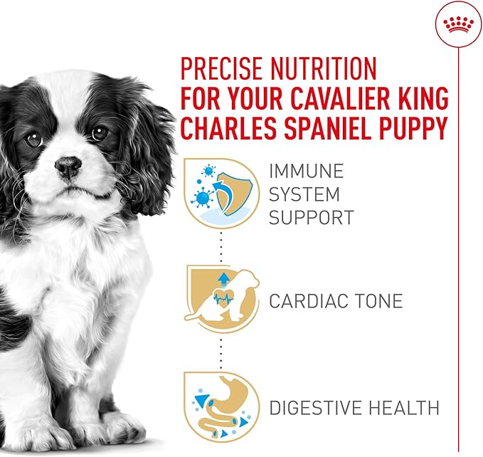 Royal Canin Breed Health Nutrition Cavalier King Charles Spaniel Puppy Dry Dog Food, 3 lb Bag