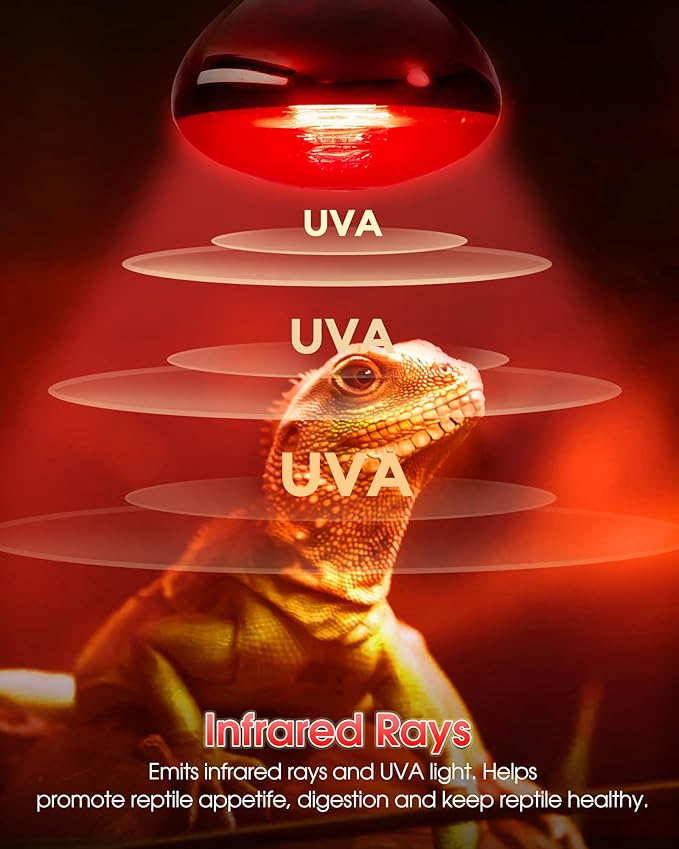 Flaspar 100W Reptile RED Heat Lamp Bulbs, Reptile & Amphibian Basking Spot Light Bulbs for Chickens Coop Pets Brooder Bearded Dragon Lizard Tortoise Use, Pack of 2