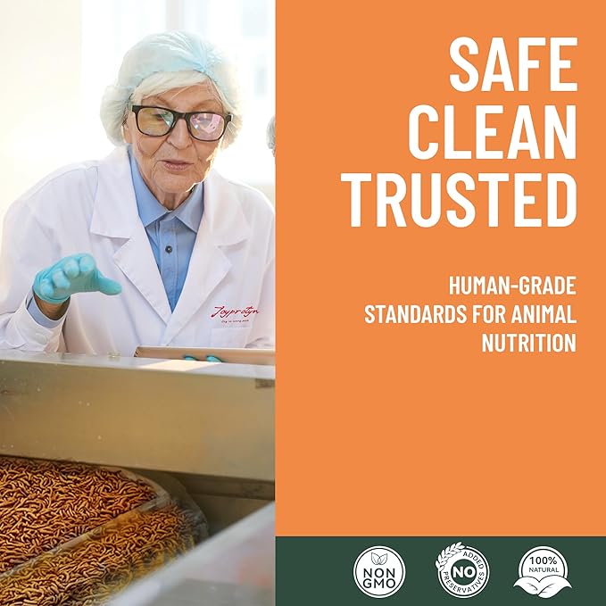 5LB Non-GMO Dried Black Soldier Fly Larvae for Chicken – 85X More Calcium Grubs Than Mealworms for Strong Eggshells & Healthy Growth - High Protein for Chickens, Birds, Ducks, Geese & Pets