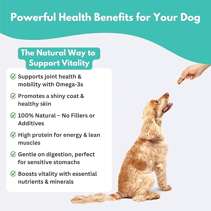 ALFIE'S TREATOS Green Lipped Mussels for Dogs & Cats (10.6 oz, 4x2.65 oz), Bulk Bundle, Air-Dried Dog Treats, Natural Supplement & Omega-3 Food Topper, Single Ingredient, Freeze-Dried Alternative