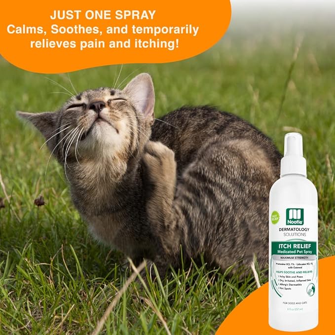 Nootie Medicated Anti-itch Spray, Itch Relief & Skin Care for Dogs & Cats, Formulated for Veterinarians, Sold in over 10,000 Clinics & Stores Worldwide, 8 fl oz