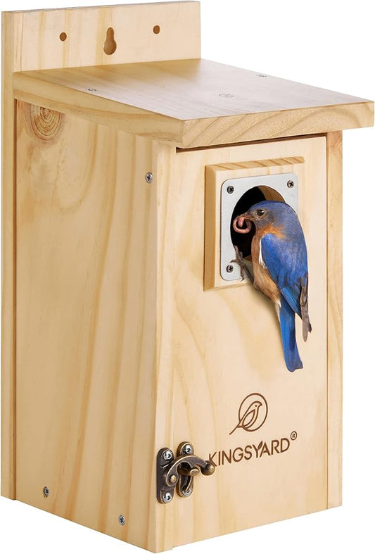 Kingsyard Blue Bird House for Outdoors - Classic Wooden Bluebird House Durable Wall-Mounted Birdhouse with Predator Guard for Bluebirds Titmice Chickadees Nesting Birds, Wood