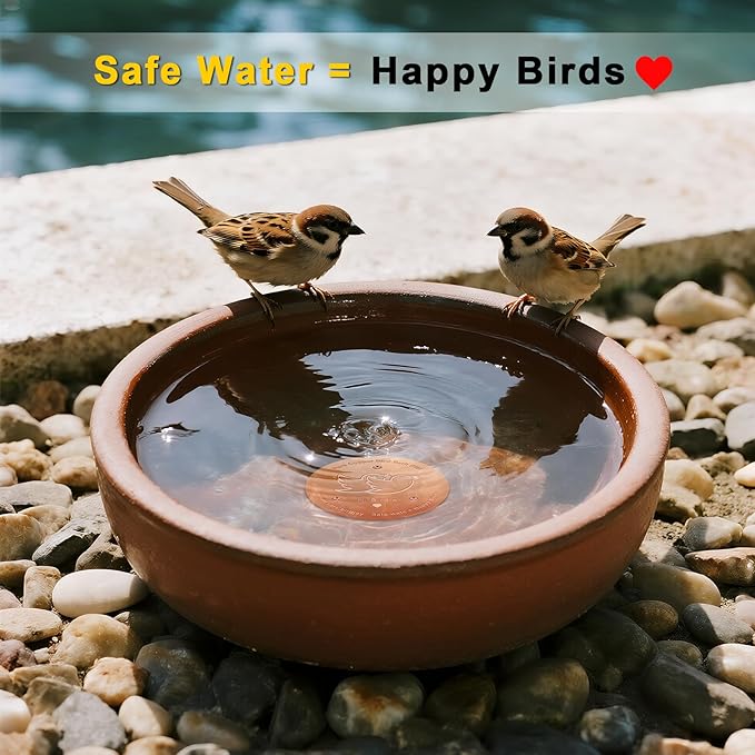 Bird Bath Cleaner Disk: 99.99% Pure Copper Water Purifier, 0.6mm Reinforced & 3-Point Support, All-Season Universal Fit for Outdoor Baths | Gift a Bird Bath Cleaning Guide