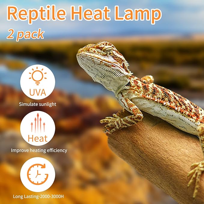 New Upgrade Reptile Heat Lamp Bulb (3rd Gen No Broken), 75W 2 Pack Basking Spot Light for Reptiles & Amphibians,UVA Daylight Heat Bulb for Bearded Dragon, Turtle