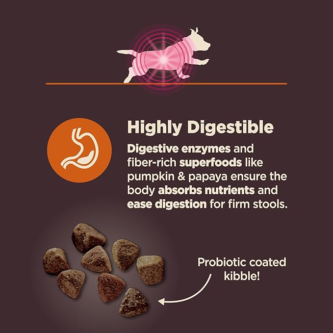 Wellness CORE Digestive Health Dry Dog Food, Small Breed, Wholesome Grains, Natural, Recipe for Dogs with Sensitive Stomachs, Chicken, (4-Pound Bag)