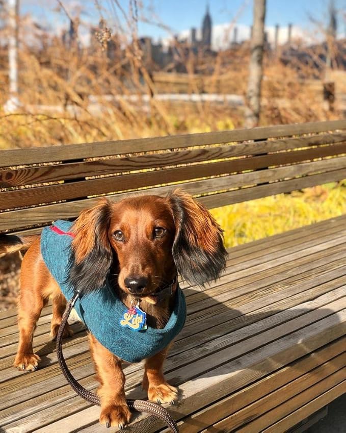 Gooby - Zip Up Fleece Vest, Fleece Jacket Sweater with Zipper Closure and Leash Ring, Turquoise Wash, X-Large