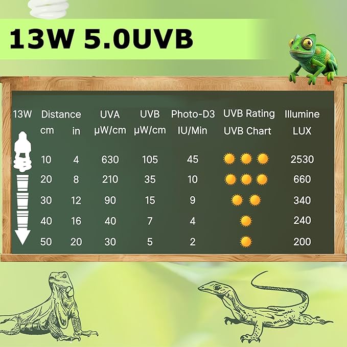 UVB 5.0 Reptile Light 13W, Tropical Terrarium Compact Fluorescent Lamp, Coil UVA-UVB Bulbs for Chameleons, Lizard, Turtle,Ideal Lighting for Small Reptile Tanks, Amphibians Terrarium Habitat