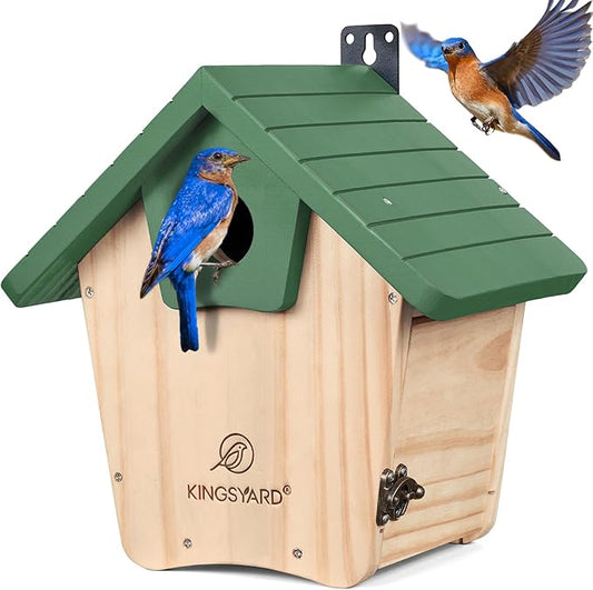 Kingsyard Blue Bird House for Outside - Cedar Wood Nesting Box with Clear View Panel & Predator Guard for Bluebird Wren Swallow Cardinal Finch, Green