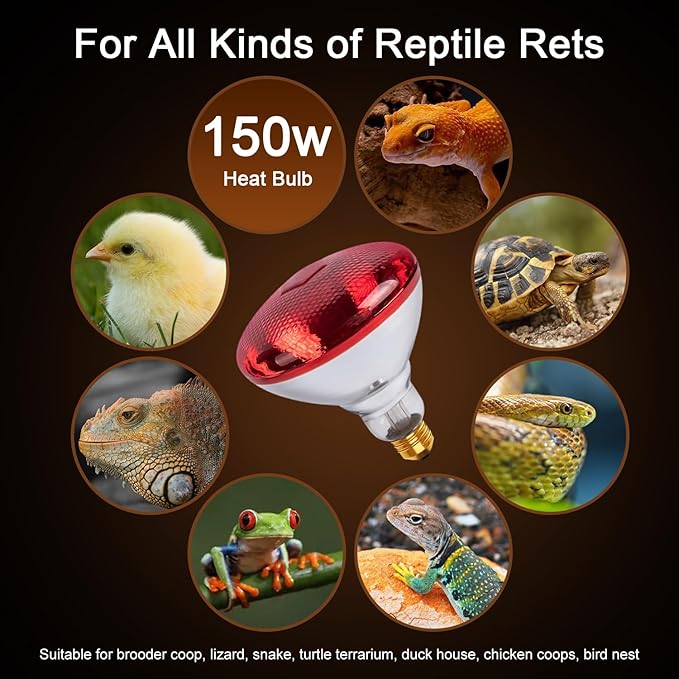 Infrared Heat Lamp for Chickens, 150 Watts Red Heat Lamp Bulb, Heat Light Bulb for Brooder Coop, Food Service, Chicks, Pet, Reptile, 1 Pack