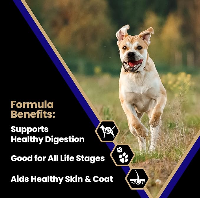 VICTOR Super Premium Dog Food – Select Beef Meal & Brown Rice Formula for Immune and Gut Health – Gluten-Free Beef Meal Dry Dog Food for All Normally Active Dogs of All Life Stages, 5 lbs