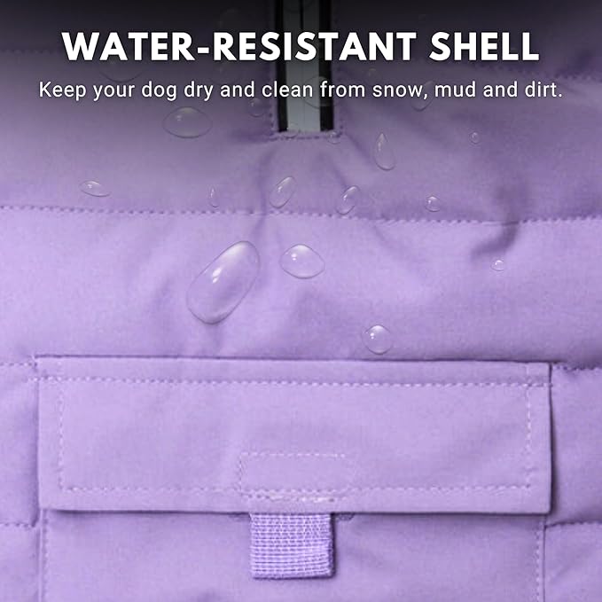 Spark Paws Dog Winter Jacket, Water-Resistant Coat, Warm Reflective Windproof Fleece-Interior, for Medium and Large Dogs - Lilac - S