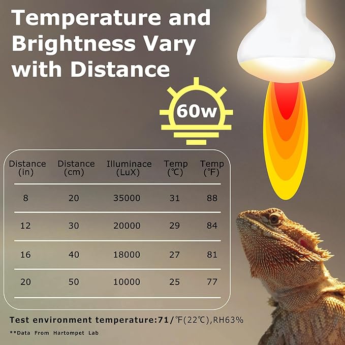 60W E26 Reptile Heat Lamp Bulbs, R63 Upgraded UVA Basking Spot Light for Bearded Dragon, Lizard, Tortoise & Amphibians - Simulated Natural Sunlight, Daylight Bulb fot Terrarium | 2 Pack