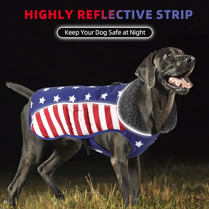 Doglay Dog Coat, Waterproof Dog Jacket Pet Winter Coat for Cold Weather with Thicken Furry Collar, Reflective Puppy Winter Jacket Warm Fleece Lining for Small Medium Large Pets