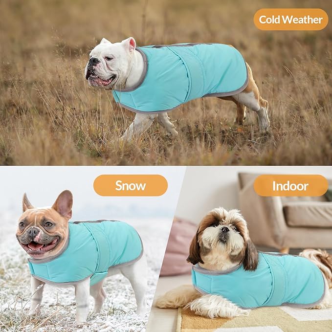 Queenmore Dog Winter Coat, Fleece Puffer Dog Down Vest, Cold Weather Pet Jacket for Dogs, Waterproof Reflective Reversible Dog Sweater Clothes for Small, Medium and Large Dogs (Light Blue, M)
