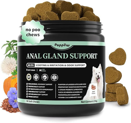 Anal Gland Support Chews for Dogs - with Pumpkin, Digestive Enzymes & Probiotics for Dog Gut Health - Scoot Treatment, Constipation, Deters Stool Eating, Odor Control - Beef Flavor, 90 Count