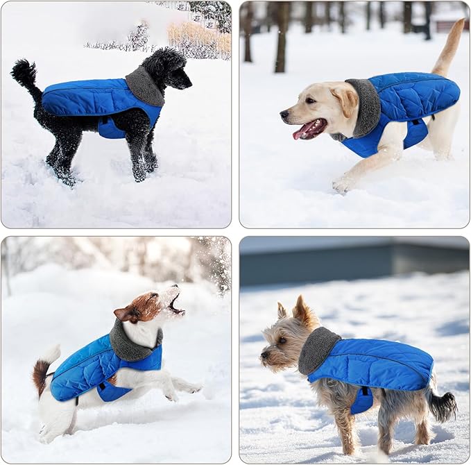 Doglay Dog Coat, Waterproof Dog Jacket Pet Winter Coat for Cold Weather with Thicken Furry Collar, Reflective Puppy Winter Jacket Warm Fleece Lining for Small Medium Large Pets