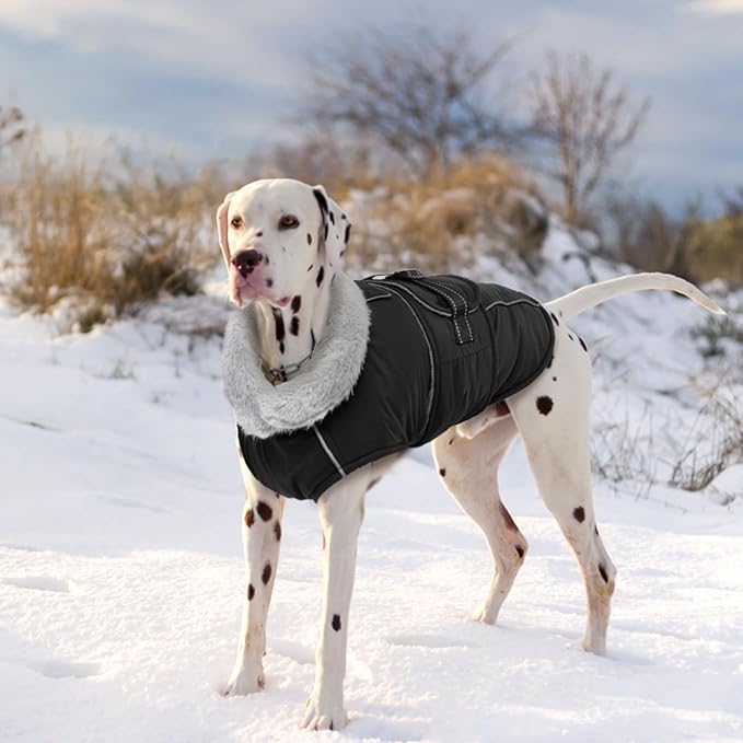 Lelepet Warm Dog Coat Reflective Dog Fleece Vest Waterproof Jacket Windproof Winter Cold Weather Coats with Adjustable Buckle Jackets for Small Dogs, Black, S