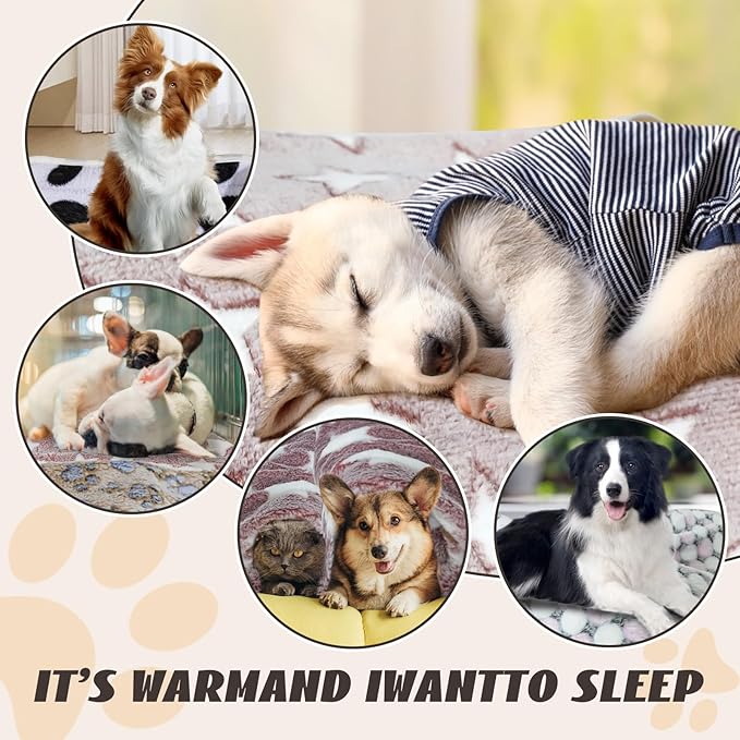 6 Pcs Washable Guinea Pig Blankets Absorbent Small Animal Fleece Bedding Cage Liners Reusable Pet Pee Pad Sleep Mat Pad Cover for Hamster Ferret Rabbit Chinchilla Hedgehog (Black, 24" x 47")