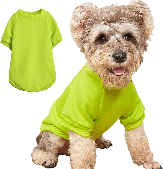 Puppy Sweater for Small Dogs Clothes Warm Winter Cat Clothe Pet Sweatshirt Knitwear Doggie Kitten Clothing, Light Green, XX-Small