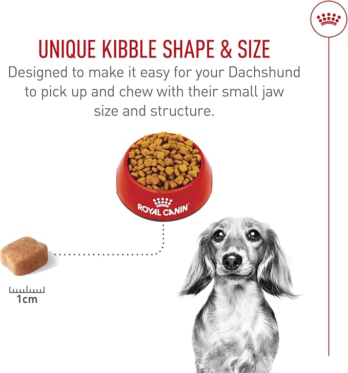 Royal Canin Dachshund Adult Breed Specific Dry Dog Food, 2.5 lb bag