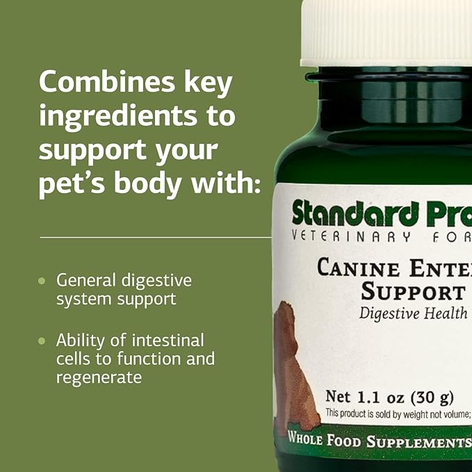 Standard Process Inc. Canine Enteric Support - Digestive System Support for Dogs - Nutritional Dog Supplement for Gut Health - Canine Supplement Formula to Aid Healthy Digestion - 30 g
