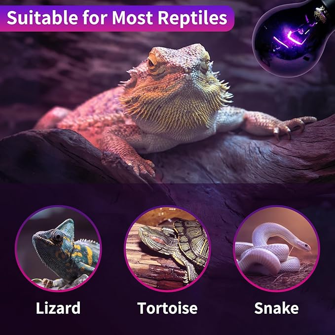 LUCKY HERP Reptile Heat Lamp 50W 2 Pack, Reptile Night Heat Bulb, Reptiles & Amphibians Basking Spot Light Bulb for Bearded Dragon, Lizard, Snake, Turtle, Chameleon