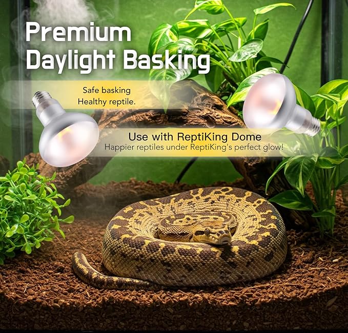 Reptile Heat Lamp, 75W 2-Pack Incandescent Basking Spotlight Bulbs for Reptiles Terrarium Tanks, Reptile Heat Bulb for Infrared Light, Bearded Dragon Heat Bulbs (75W)