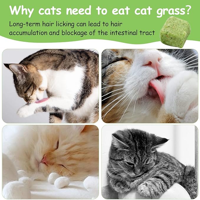 HavenJanny 120g Cat Grass Treats for Indoor Cats, Freezed Dried Cat Grass Teething Stick Snacks for Cats, Edible Feline Chew Toys for Hairball Control and Oral Health