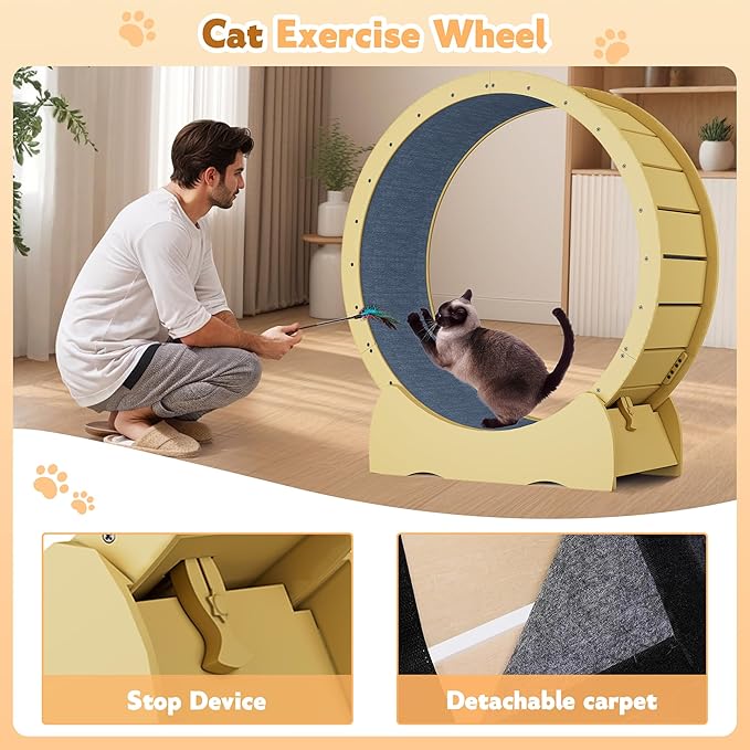 41" Cat Exercise Wheel, Cat Exercise Wheel for Indoor Cats, with Soft Carpeted Running Surface, Safety Lock & Quiet Design - Ideal Animal Running Wheel for Exercise, Walking, Training