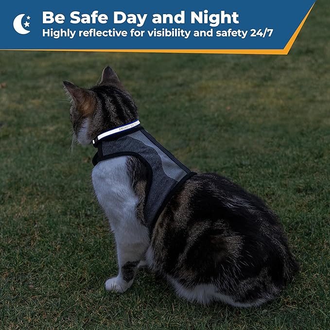 GoTags Personalized Reflective Cat Collars, Engraved Custom Cat Collar with Name and Phone Identification, Breakaway Collar with Safety Release Buckle and Bell, Adjustable for Cats and Kitten, (Blue)