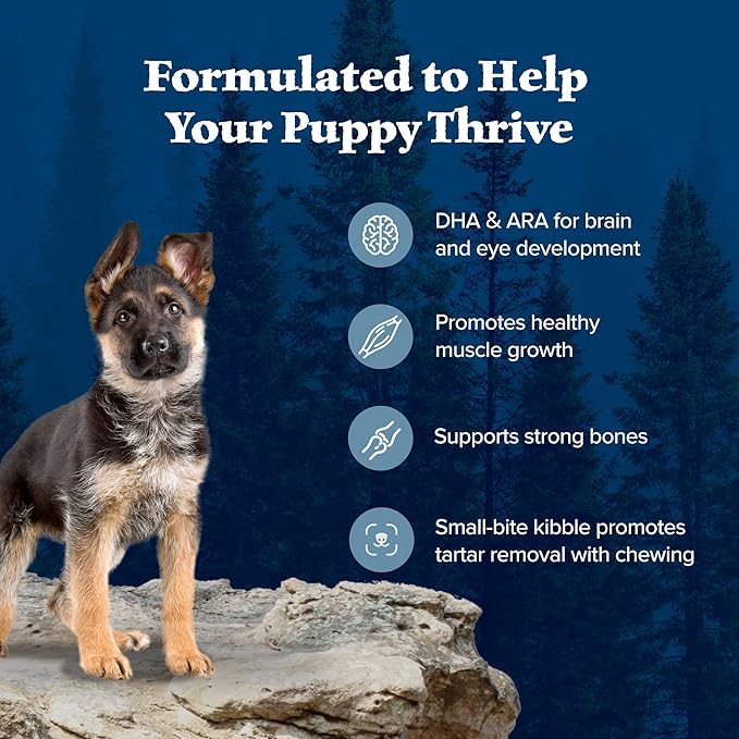 Blue Buffalo Wilderness Puppy High-Protein Dry Dog Food with Real Chicken, Grain-Free, Made in the USA with Natural Ingredients, Chicken, 4.5-lb Bag