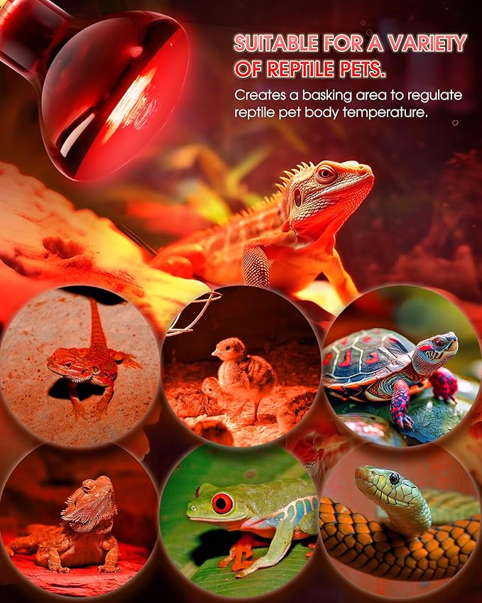 Flaspar 100W Reptile RED Heat Lamp Bulbs, Reptile & Amphibian Basking Spot Light Bulbs for Chickens Coop Pets Brooder Bearded Dragon Lizard Tortoise Use, Pack of 2