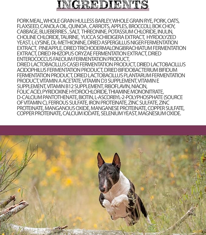 Pulsar Premium Whole Grain Dog Food | Pork Formula | All Life Stage, Non GMO, Meat Dense Diet | 25 lb Bag
