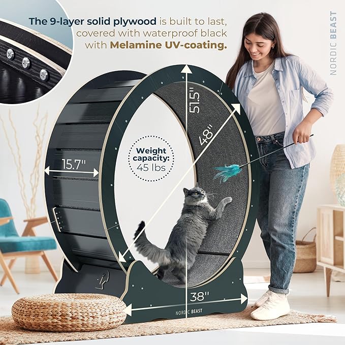 48'' XL Cat Wheel - Cat Wheels for Indoor Cats Which Doesn't Negatively Affect Your Cat's Spine - 15.7'' Extra Wide Cat Treadmill - Fits 2 Cats Side-by-Side, 1-Year Warranty