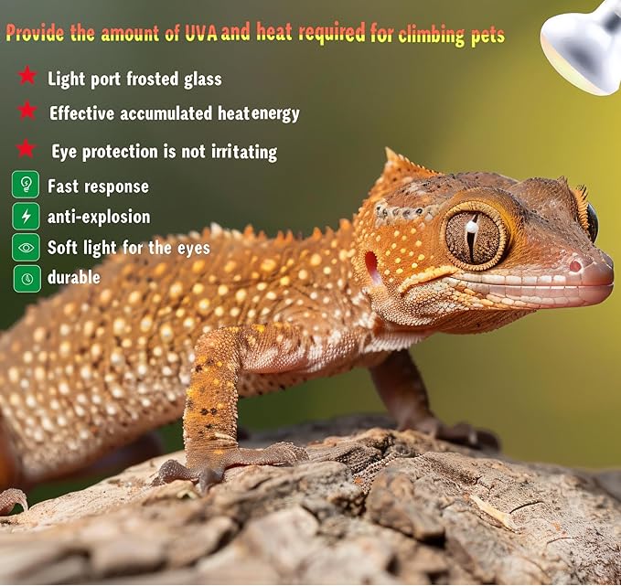 Reptile Heat Lamp Used in Reptiles 75W 100W Heat Lamp Bulbs for Reptiles 2 Pack Amphibians Basking Heat Lamp Bulbs UVA Daylight Basking Light (50Watts)