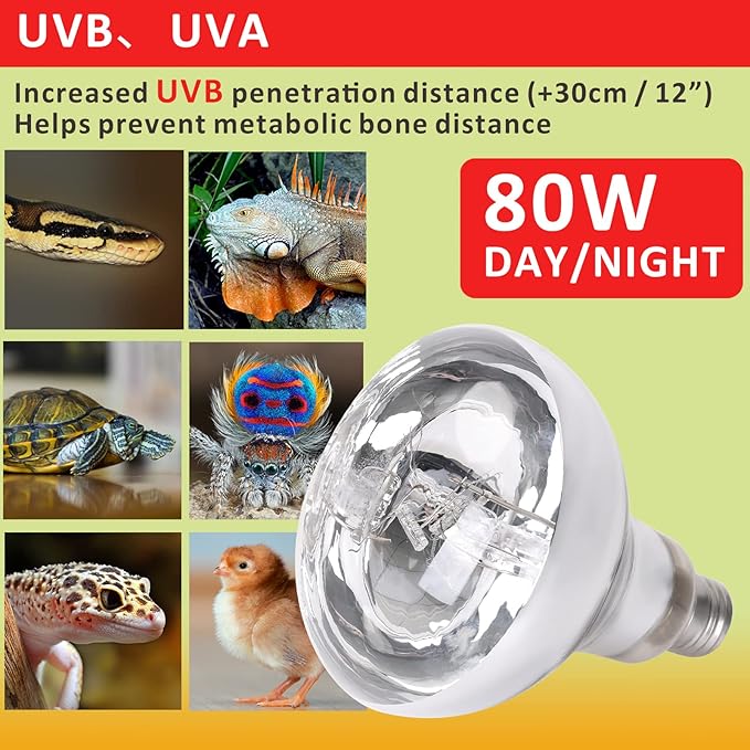 Aiicioo UVB Reptile Light 80W - UVB Light Bulb for Reptile Mercucry Vapor Bulb Heat Basking Lamp Bulb Full Spectrum UVA UVB All in One Sun Lamp for Bearded Dragon Lizard Turtle