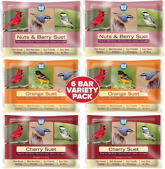 Blue Seal Berry Blend Suet Cakes for Wild Birds - No Mess Suet Feed, Food for Woodpeckers, Cardinals, Siskins, Sparrows & More - 11oz Suet Feeder, Bird Seed Cakes (Variety Pack of 6)