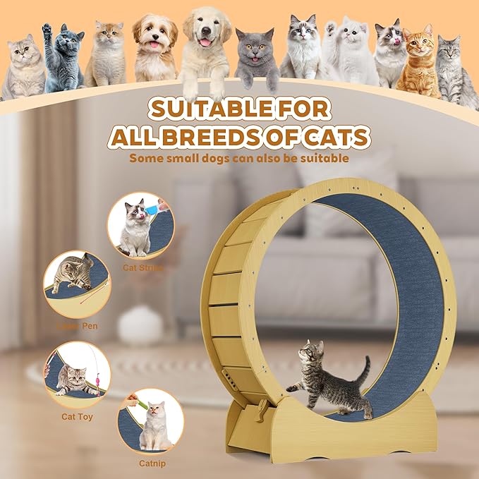 45 Inch Cat Exercise Wheel, Large Cat Wheel for Indoor Cats with Detachable Carpet & Toy, for Running/Walking/Training, Suitable for Most Cats