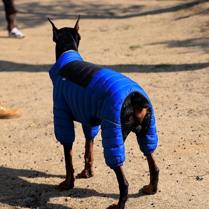 Lovelonglong Dog Coat Dog Warm Jacket, 4 Legs Covered Waterproof Windproof Reflective Warm Dog Vest, Zippered Adjustable Outdoor Dog Snow Jacket for Small Medium Large Dogs Blue XL