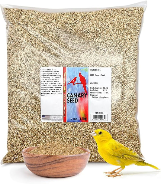 Morning Bird Canary Seed – Nutritional Rich in Vitamins and Supplements for Birds – Ideal for Healthy Feathers and Strong Bones Seed for All Birds Type 9 lbs