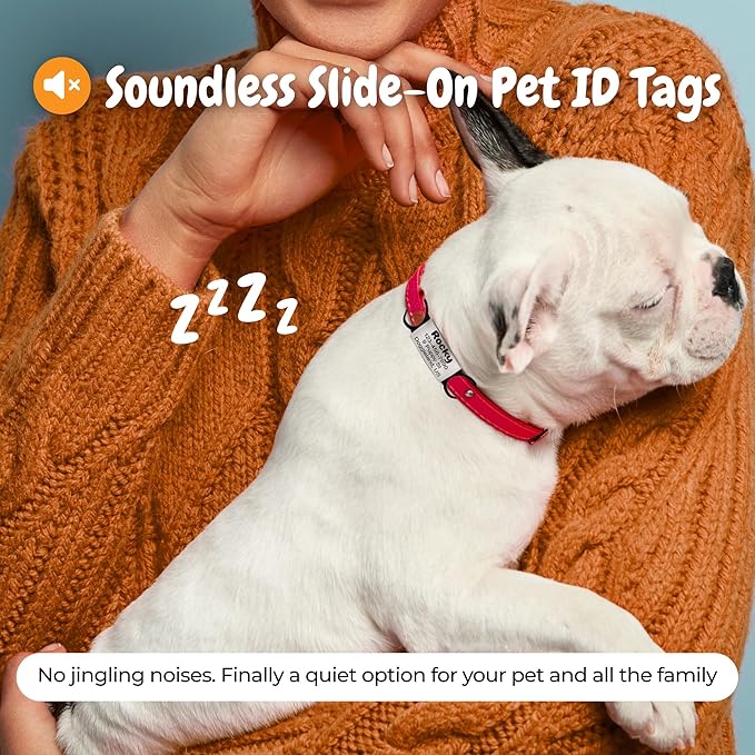 Custom Slide On Pet Tag ID, Fancy Silent Dogs & Cats Personalized No Jingle Engraved Identification Name & Phone Charm for Collar & Harnesses, No Noise for Puppies, Kitties, Horses & Animals